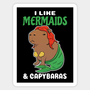 I Like Mermaids and Capybaras Cartoon Magnet
